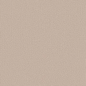 Blush Beige
